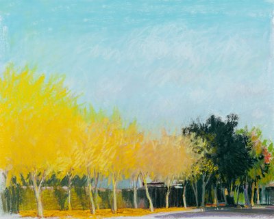 Sunny Side, 2015 door Diana Jahns
