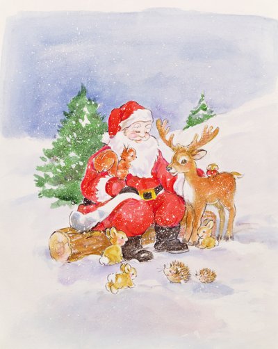 Kerstman en Vrienden door Diane Matthes