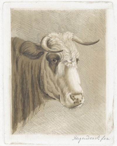 Koekop door Diederik Jan Singendonck (signed by artist)