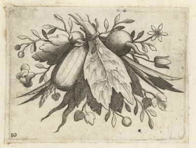 Festoen van vruchten door Dietrich Krüger (attributed to)