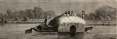 Snijden, oogsten en vervoeren van voer aan de oevers van de Donau. Gravure in Le tour du monde, bewerkt door Edouard Charton. door Dieudonne Auguste Lancelot