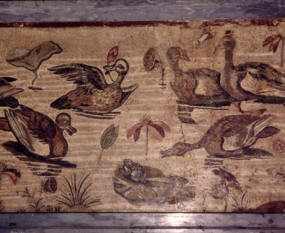 Romeins Mozaïek uit Pompeii van eenden en kikkers in een watertuin, 1e eeuw door Dioscurides of Samos
