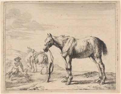 Een Paard Gebonden aan een Paal door Dirck Stoop