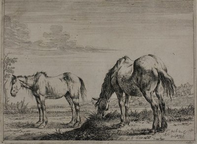 Grazen paard, plaat drie uit de serie van paarden door Dirck Stoop