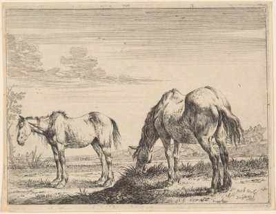 Twee Grazende Paarden door Dirck Stoop