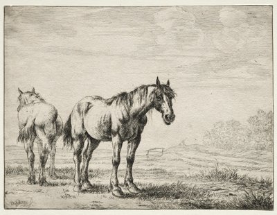 Twee ploegpaarden door Dirck Stoop