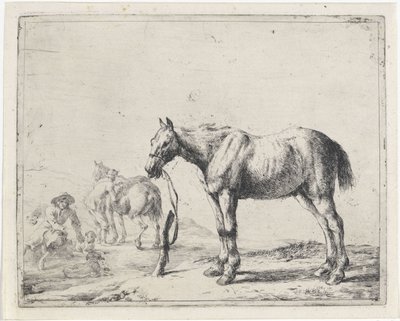 Aan een paal gebonden paard naar links door Dirk Stoop