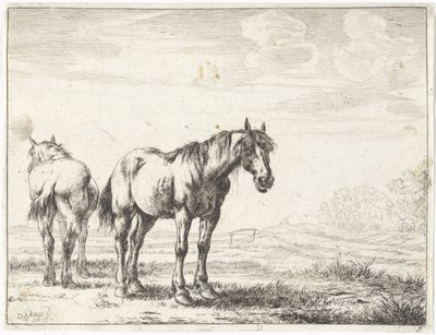 Twee paarden in een landschap Paarden door Dirk Stoop