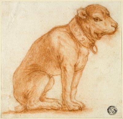 Zittende hond met halsband door Dirk Valkenburg