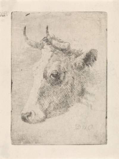 Kop van een stier door Dirk van Oosterhoudt