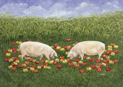 Appelzaaiers door Ditz