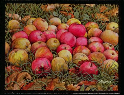 Durnitzhofer Appels, 1993 door Ditz
