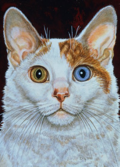 Minette, 1996 door Ditz