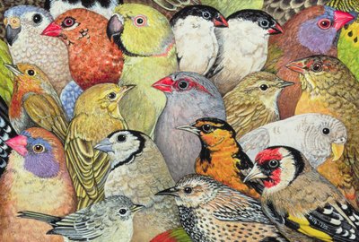 Patchwork-Vogels, 1995 door Ditz