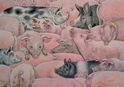 Varkens-Smeer door Ditz