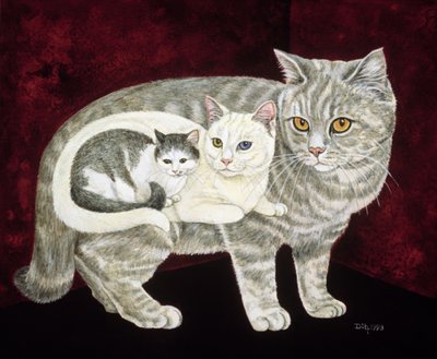 Russische Kat door Ditz
