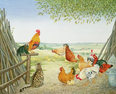 De vogel en de poes door Ditz