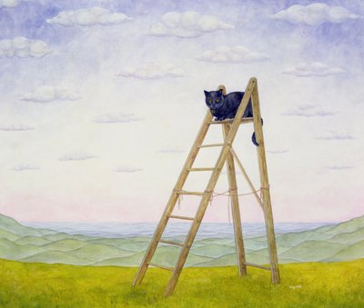 De ladderkat door Ditz