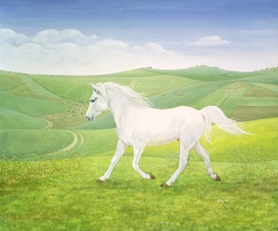 Het Landschap Paard door Ditz