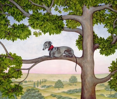 De Boom Whippet door Ditz