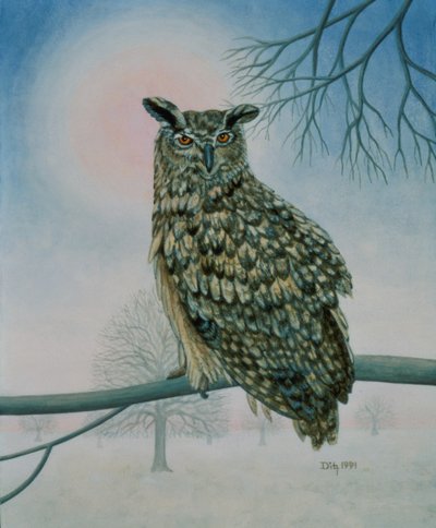 Winter-uil door Ditz