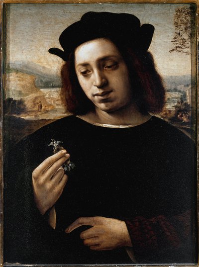 Portret van man, bekend als de Goud door Domenico Ghirlandaio