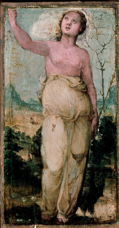Vrouwelijk figuur door Domenico Beccafumi