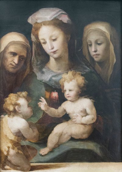 Madonna en Kind met Heiligen Johannes, Elizabeth en Catharina van Siena door Domenico Beccafumi