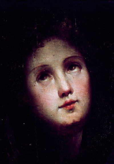 De afdaling van Christus naar het voorgeborchte. Detail (gezicht van een jonge man die in de duisternis duikt en naar de hemel kijkt). door Domenico Beccafumi