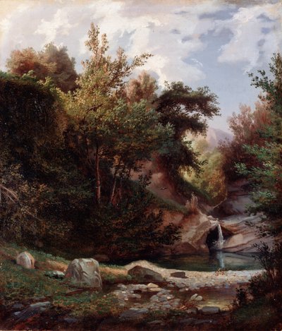 Landschap van natuur, kreupelhout en stroom met waterval door Domenico Cambiaso