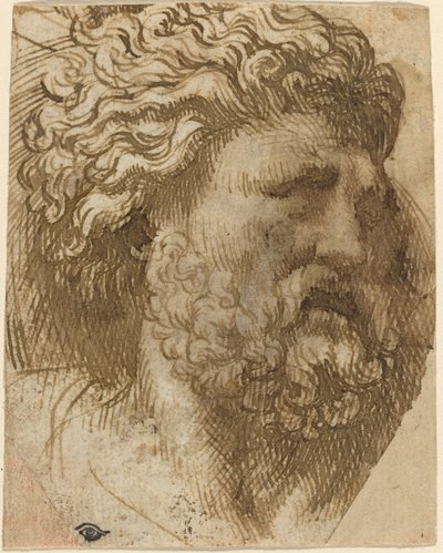 Hoofd van een man door Domenico Campagnola