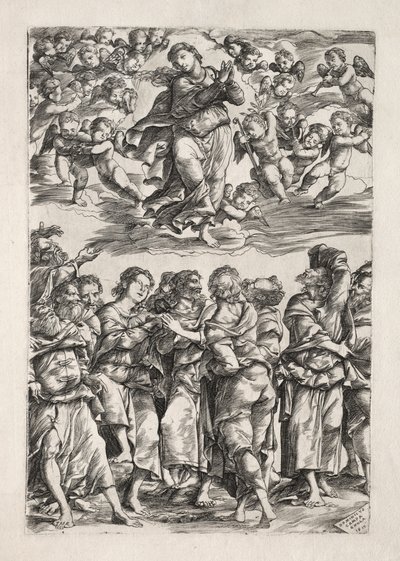 De Tenhemelopneming van de Maagd door Domenico Campagnola