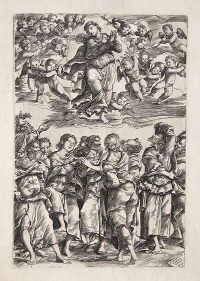 De tenhemelopneming van de Maagd, 1517 door Domenico Campagnola