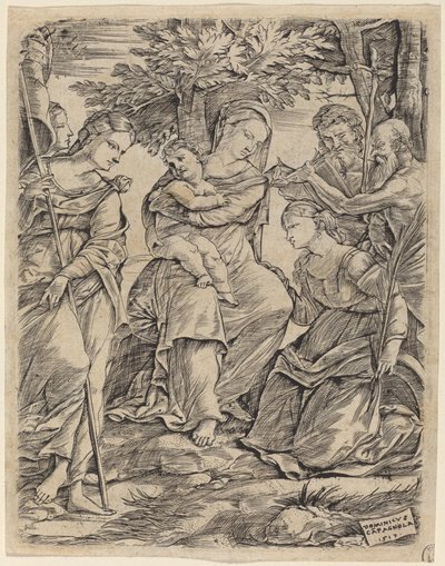 De Maagd en Kind met Heiligen door Domenico Campagnola