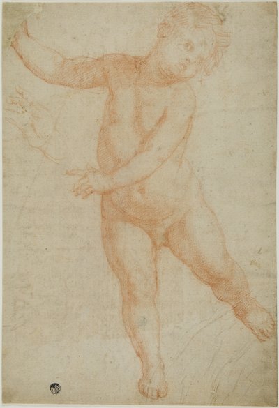 Putto geposeerd op rechterbeen (recto); schets van een gedrapeerde arm (verso) door Domenico Cresti