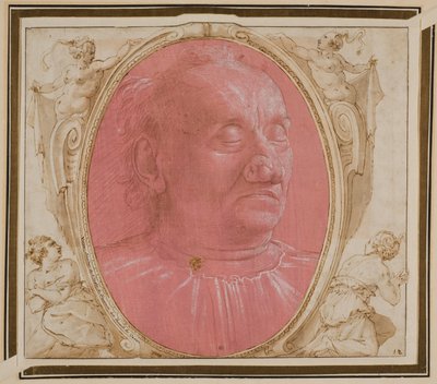 Hoofd van een oude man door Domenico Ghirlandaio