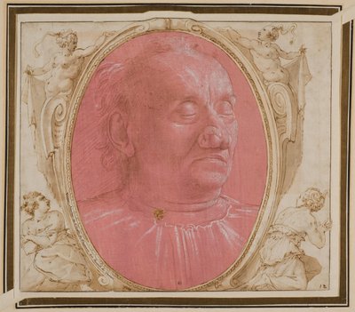 Hoofd van een oude man door Domenico Ghirlandaio