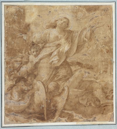 Hemelvaart van de Maagd door Domenico Maria Canuti