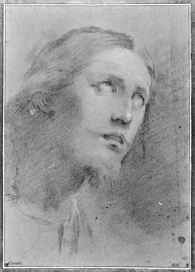  door Domenico Maria Canuti