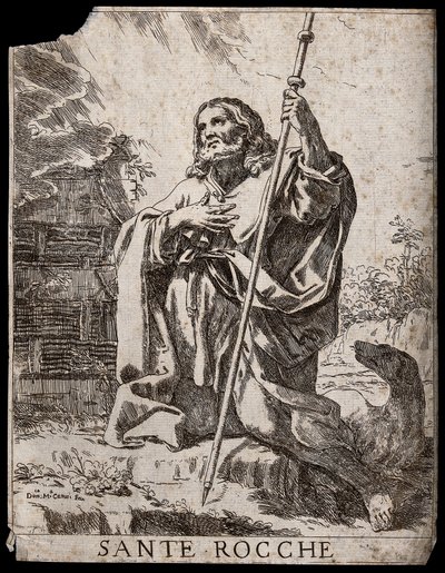  door Domenico Maria Canuti