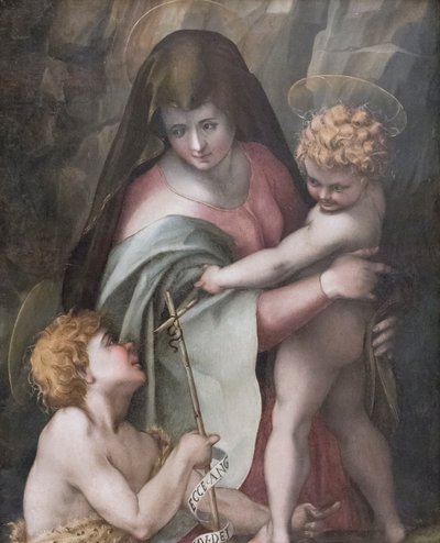 Madonna en Kind met de Jonge Sint Jan, Domenico Puligo door Domenico Puligo