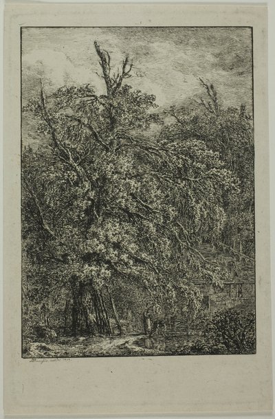 Grote boom door Domenico Quaglio