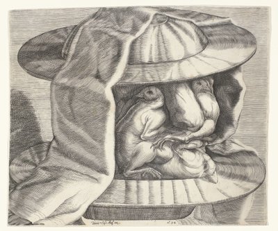 Een groteske kop met helm in de stijl van Arcimboldo door Dominicus Custos