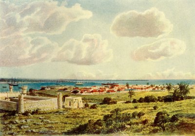 Delagoa Bay door Donald McCracken