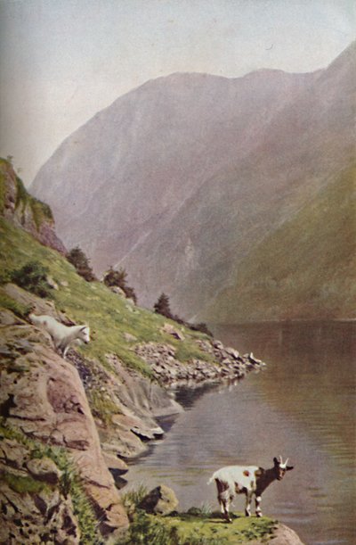Noorwegen, ca. 1930s door Donald McLeish
