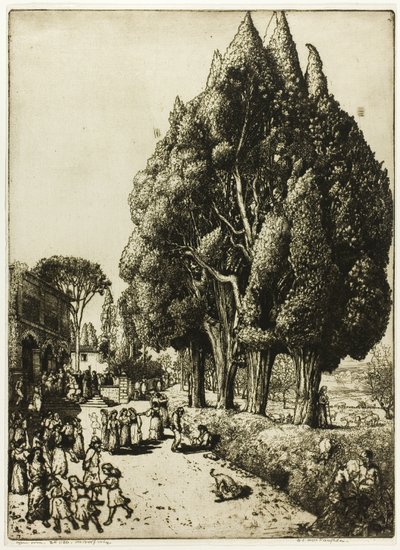 Cipressenbos door Donald Shaw MacLaughlan
