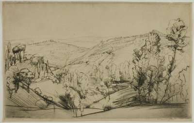 Velden van San Gimignano door Donald Shaw MacLaughlan