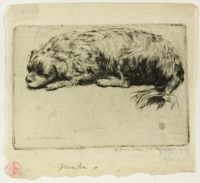 Jack door Donald Shaw MacLaughlan
