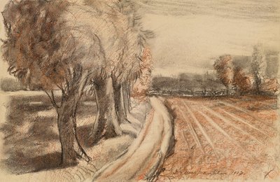 Landschap met wilgen door Donald Shaw MacLaughlan