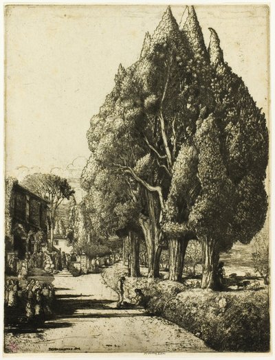 Het Cipressenbos door Donald Shaw MacLaughlan